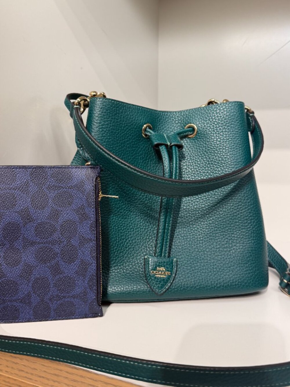 New‼️Coach Rowan Bucket Bag CBH06 Emerald